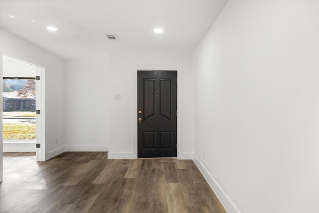 foyer entrance featuring dark wood-type flooring