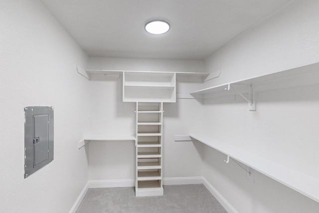 spacious closet featuring electric panel and carpet