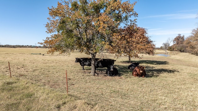 view of yard featuring a rural view