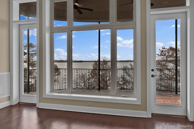 entryway featuring plenty of natural light and dark wood-type flooring