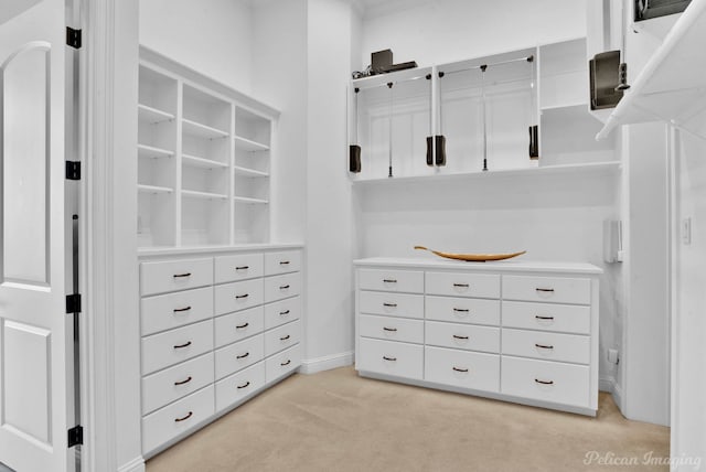 spacious closet with light carpet