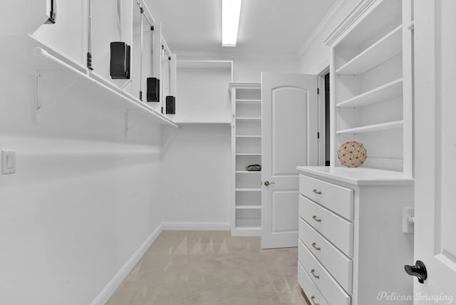 walk in closet with light carpet