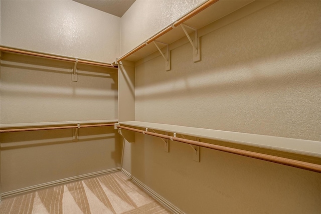 spacious closet featuring light colored carpet