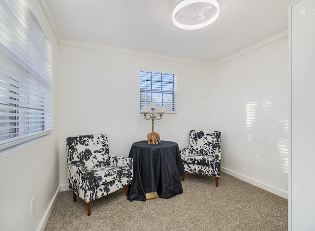 sitting room with carpet floors and ornamental molding