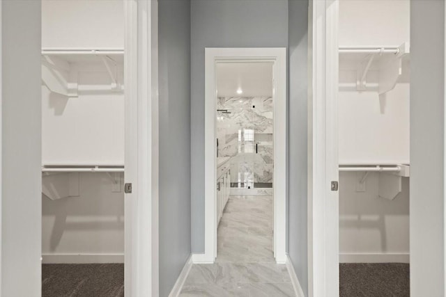 view of walk in closet