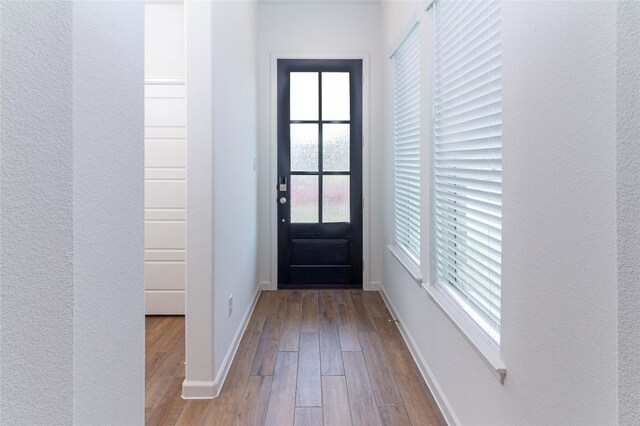 doorway featuring light wood-type flooring and a wealth of natural light