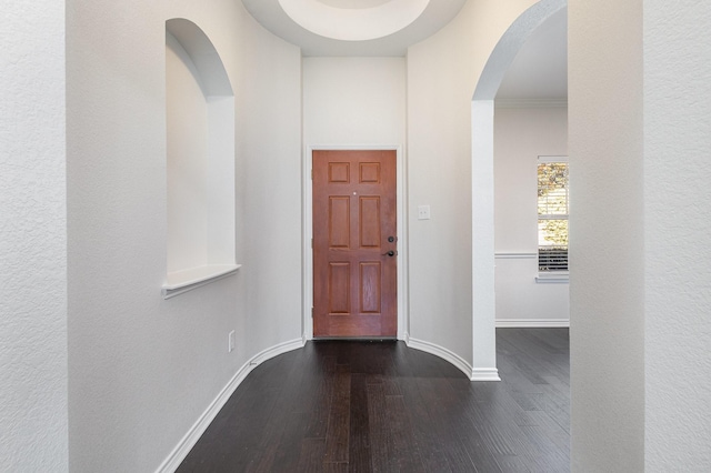 foyer entrance featuring crown molding and dark wood-type flooring