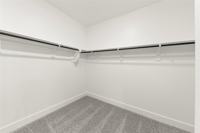 spacious closet with carpet flooring