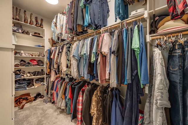 spacious closet featuring carpet flooring