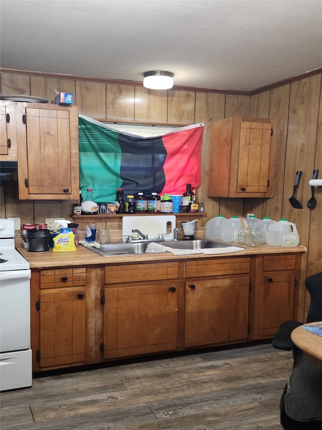 kitchen featuring white electric range, dark hardwood / wood-style floors, wooden walls, and sink