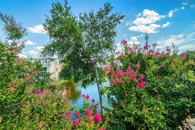 view of water feature