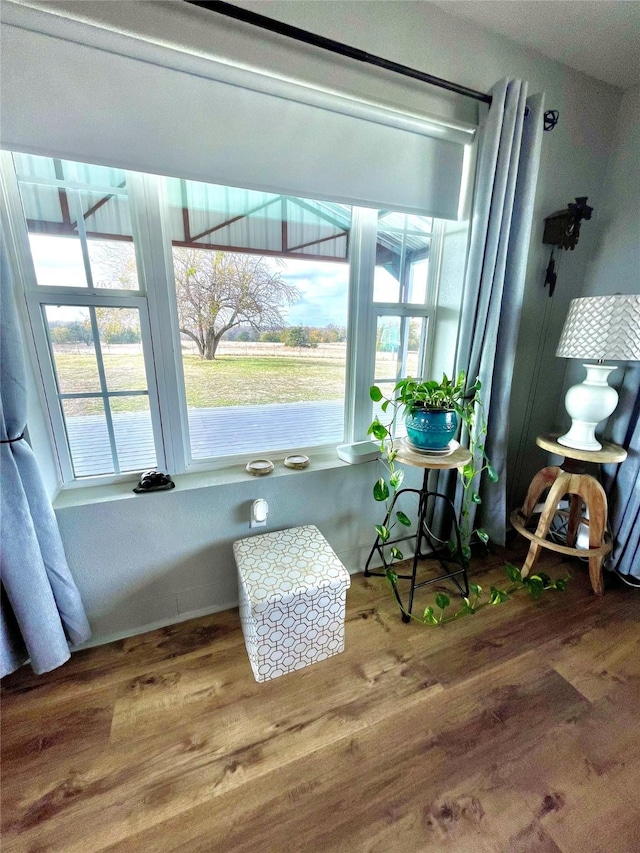 sitting room featuring hardwood / wood-style flooring