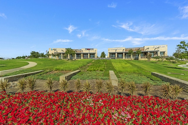 view of property's community featuring a lawn