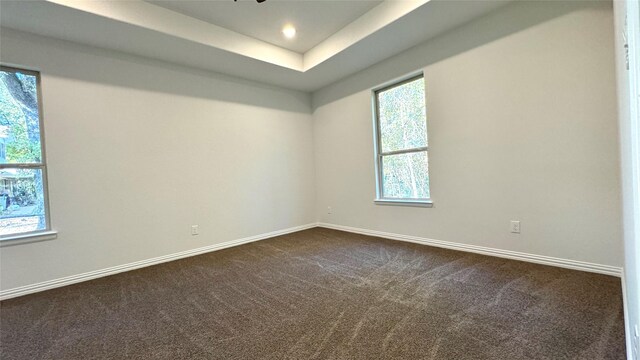 unfurnished room featuring a raised ceiling and carpet floors