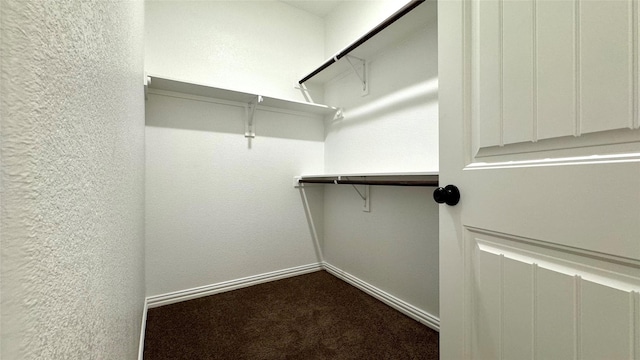 spacious closet featuring carpet