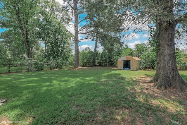 view of yard with a storage shed