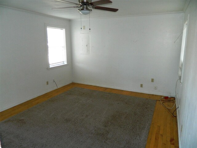 unfurnished room with hardwood / wood-style flooring, ceiling fan, and ornamental molding