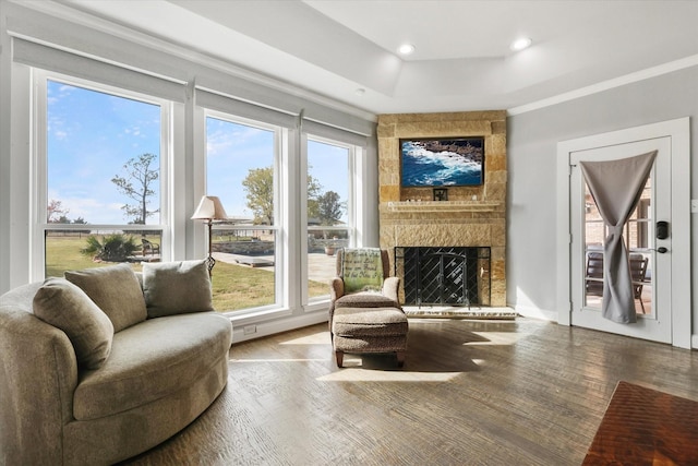 living area featuring hardwood / wood-style floors, a large fireplace, a raised ceiling, and plenty of natural light