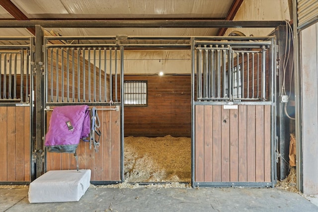 view of horse barn