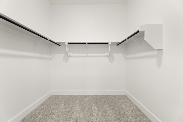 spacious closet with carpet