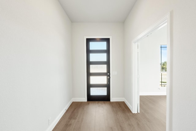 foyer entrance featuring light hardwood / wood-style floors