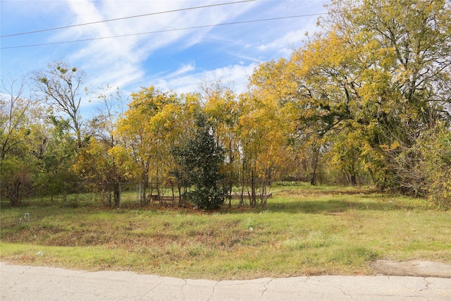 304 S Frances St, Terrell TX, 75160 land for sale