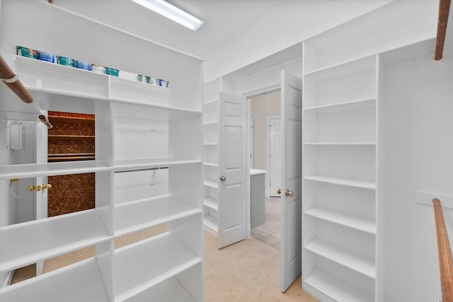 view of walk in closet