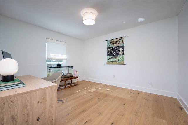 office area featuring light hardwood / wood-style flooring