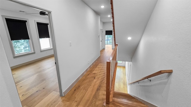 staircase with hardwood / wood-style floors and ceiling fan