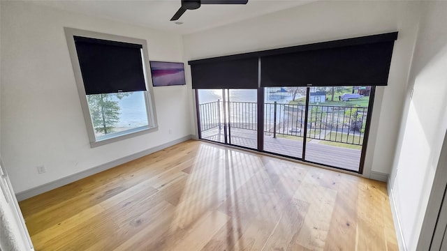 spare room with ceiling fan and wood-type flooring