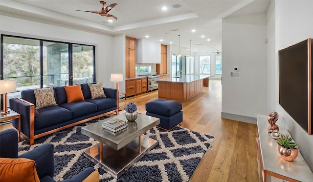 living room with a tray ceiling, light hardwood / wood-style flooring, and ceiling fan