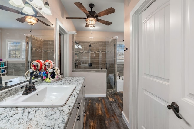 bathroom with vanity, an enclosed shower, and wood-type flooring