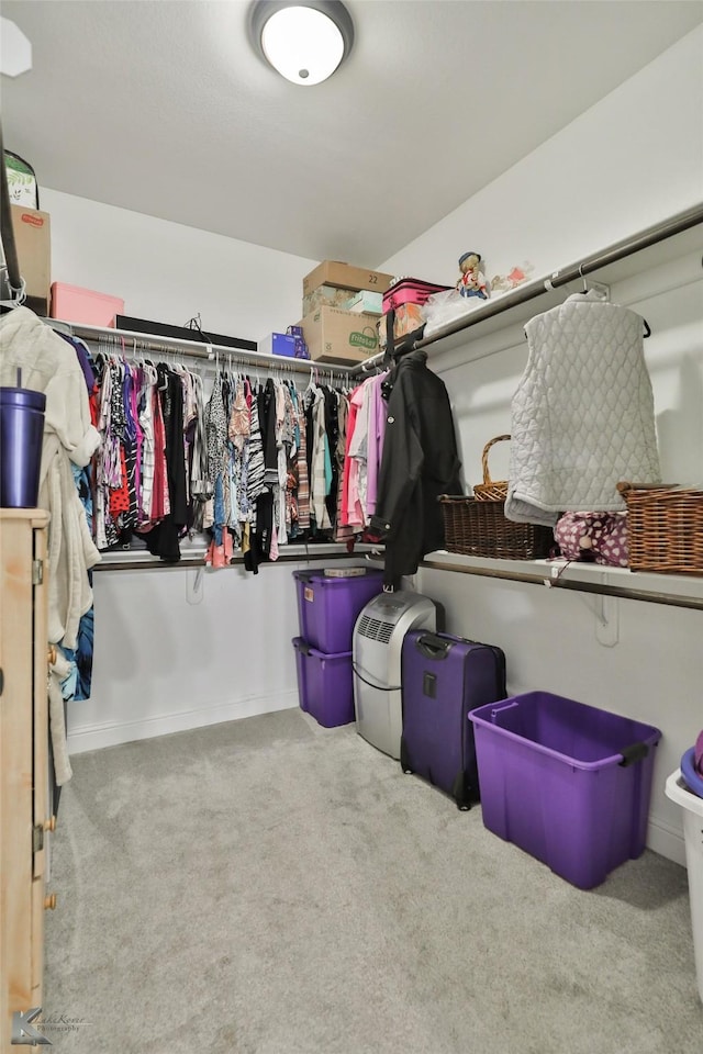 walk in closet featuring light carpet