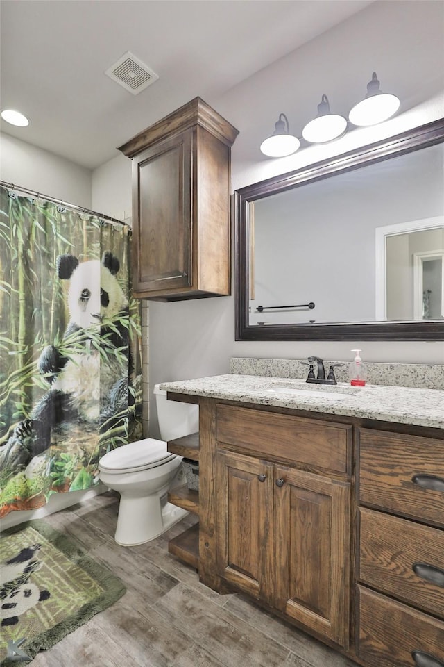 bathroom with vanity, toilet, and wood-type flooring