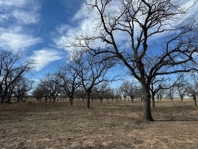 Listing photo 2 for TBD Highway 6, Carbon TX 76448