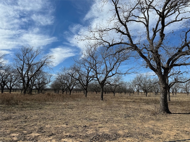 Listing photo 3 for TBD Highway 6, Carbon TX 76448