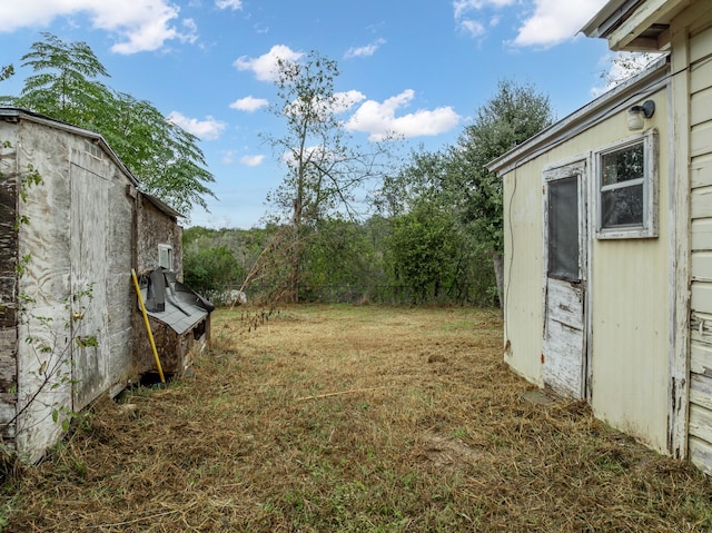 view of yard with a storage shed