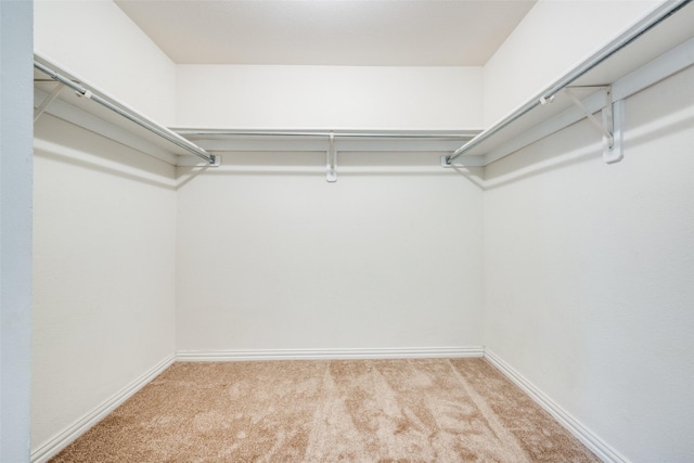 spacious closet featuring light carpet