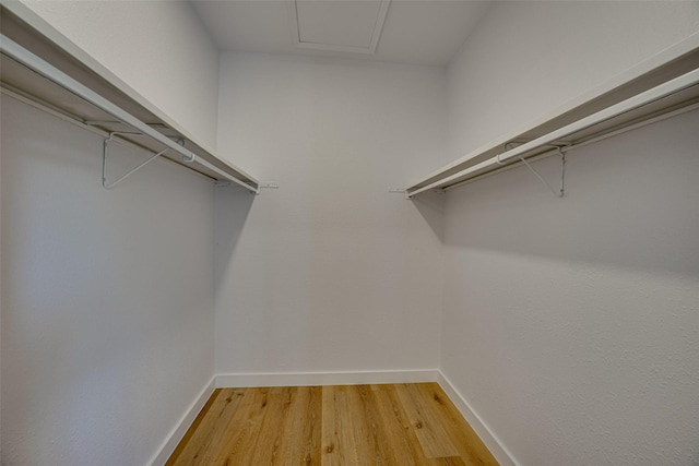 spacious closet with hardwood / wood-style floors