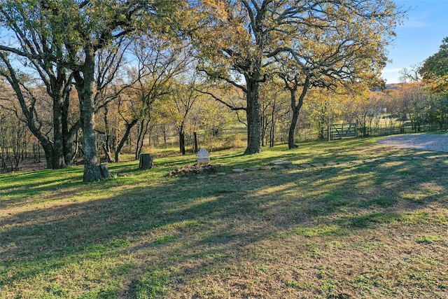 view of yard