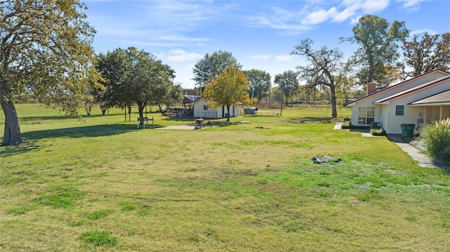 view of yard featuring a trampoline