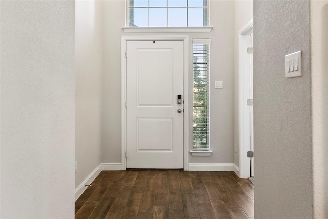 entrance foyer with dark wood-type flooring