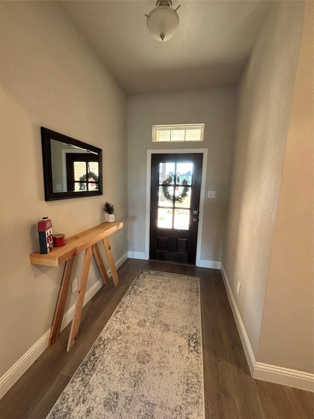 foyer with dark wood-type flooring