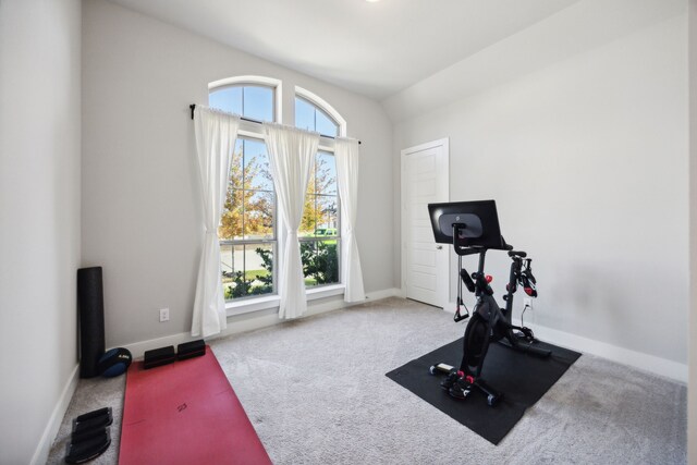 exercise area featuring carpet flooring