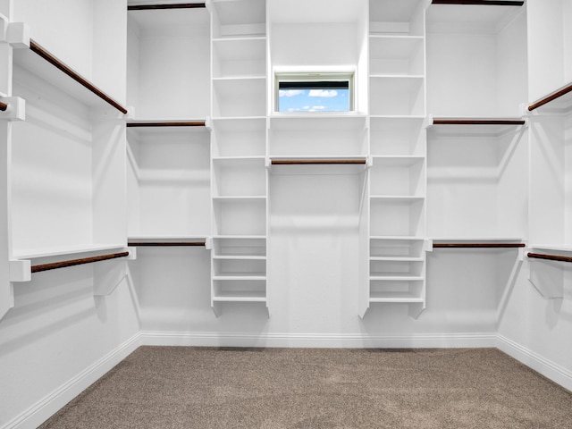 spacious closet featuring carpet floors