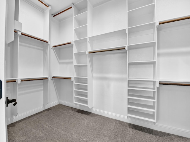 spacious closet featuring carpet flooring