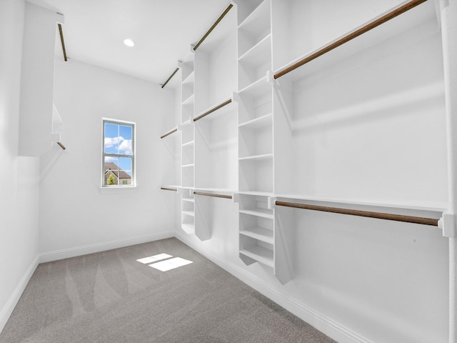 spacious closet with carpet