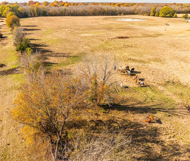 view of local wilderness with a rural view