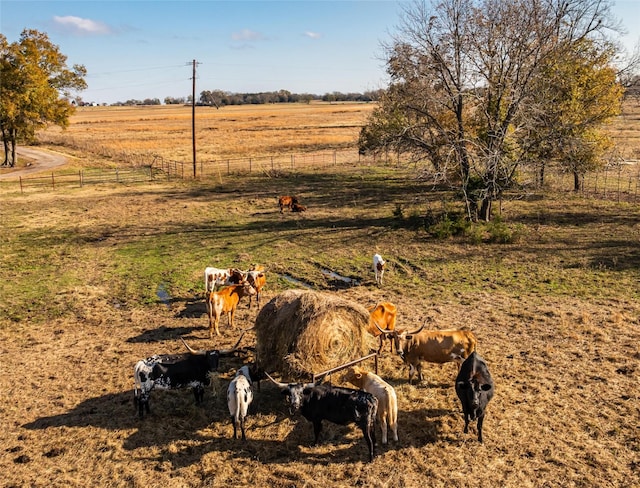 view of yard featuring a rural view