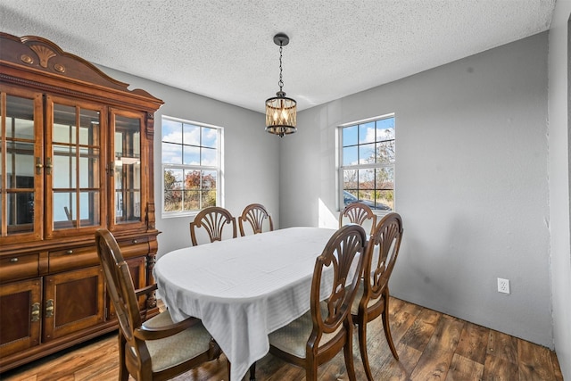 dining area with a wealth of natural light, a textured ceiling, and hardwood / wood-style flooring